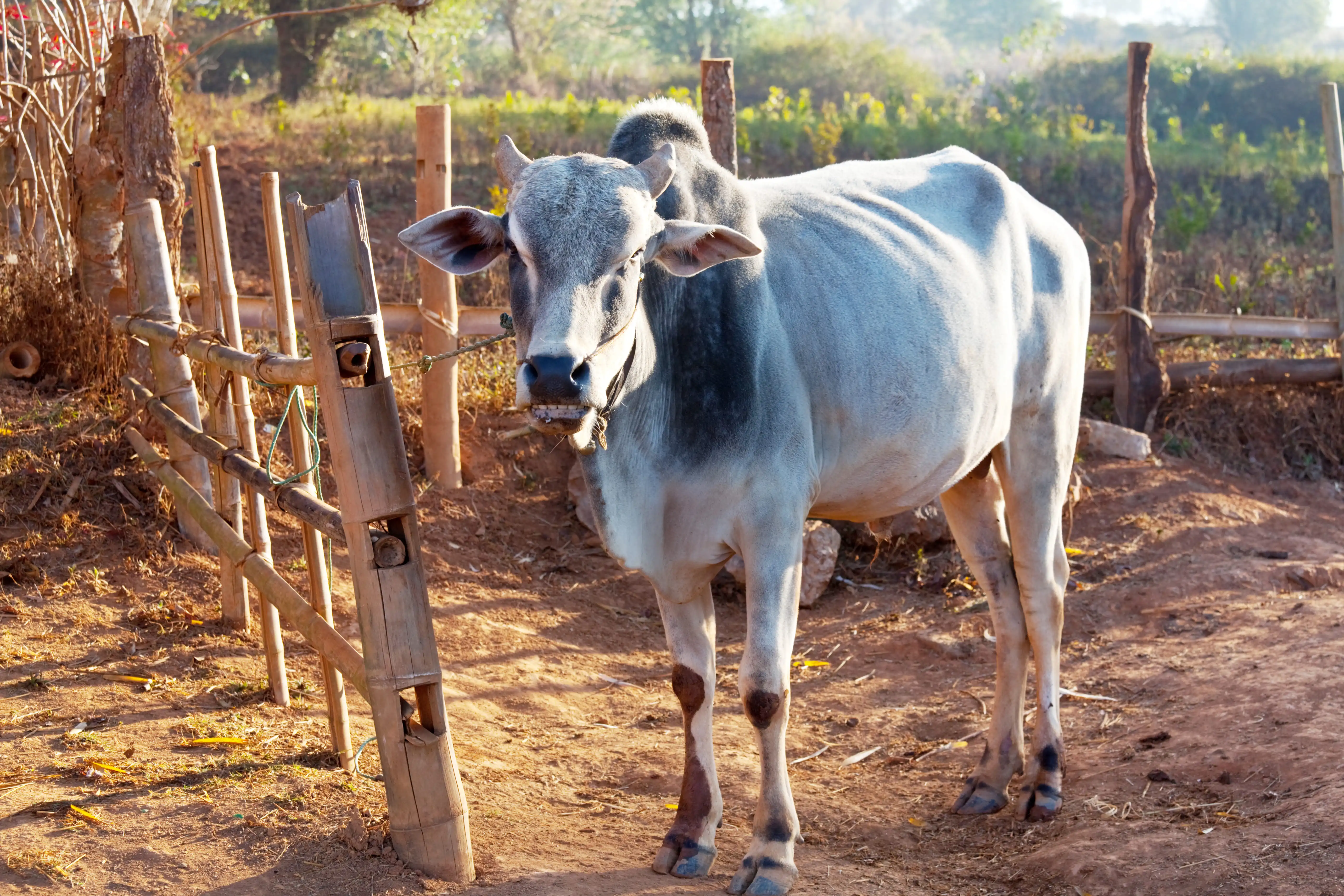 Emergency rescue operation